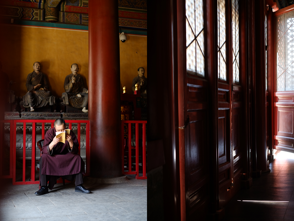 Monk reading in a confucian temple